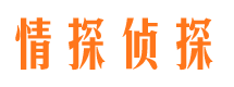 泌阳市婚外情调查